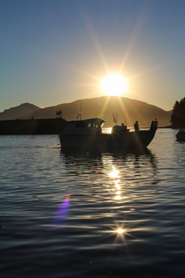 Cordova, Alaska | TheRoastedRoot.net #travel #copperriversalmon #knowyourfisherman #sustrainablesalmon 