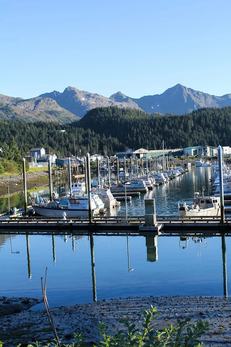 Cordova, Alaska | TheRoastedRoot.net #travel #copperriversalmon #knowyourfisherman #sustrainablesalmon