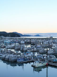 Cordova, Alaska | TheRoastedRoot.net #travel #copperriversalmon #knowyourfisherman #sustrainablesalmon