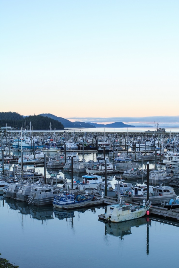 Cordova, Alaska | TheRoastedRoot.net #travel #copperriversalmon #knowyourfisherman #sustrainablesalmon