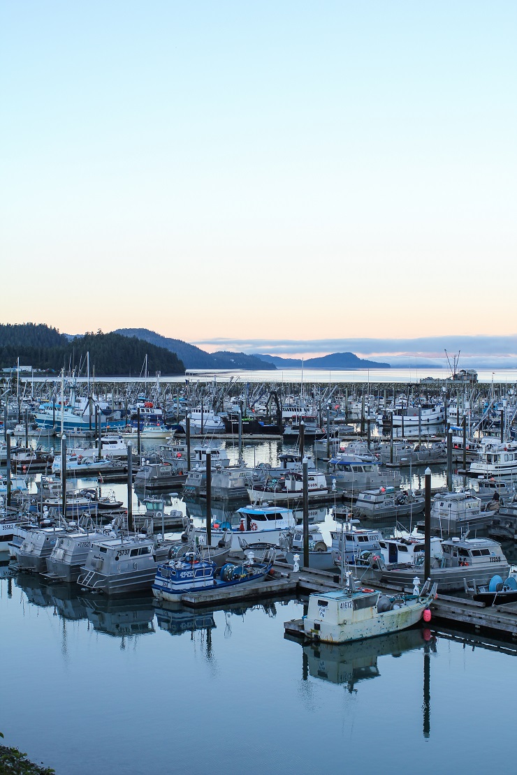 Cordova, Alaska | TheRoastedRoot.net #travel #copperriversalmon #knowyourfisherman #sustrainablesalmon 