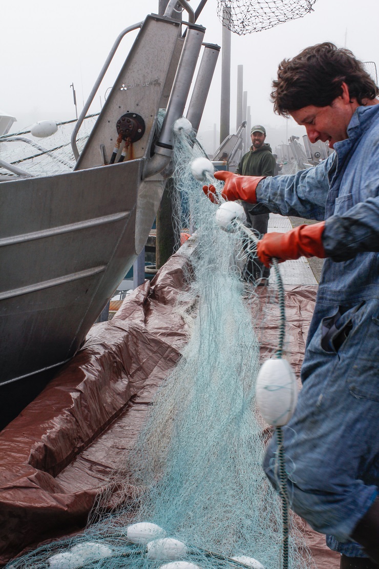 Cordova, Alaska | TheRoastedRoot.net #travel #copperriversalmon #knowyourfisherman #sustrainablesalmon 