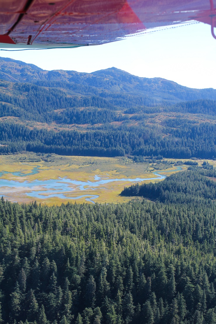 Cordova, Alaska | TheRoastedRoot.net #travel #copperriversalmon #knowyourfisherman #sustrainablesalmon 