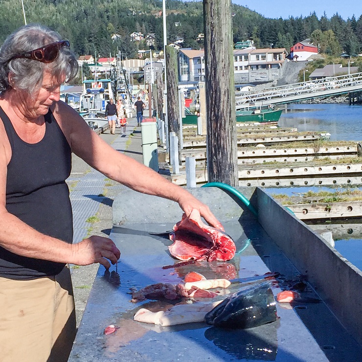 Cordova, Alaska | TheRoastedRoot.net #travel #copperriversalmon #knowyourfisherman #sustrainablesalmon 