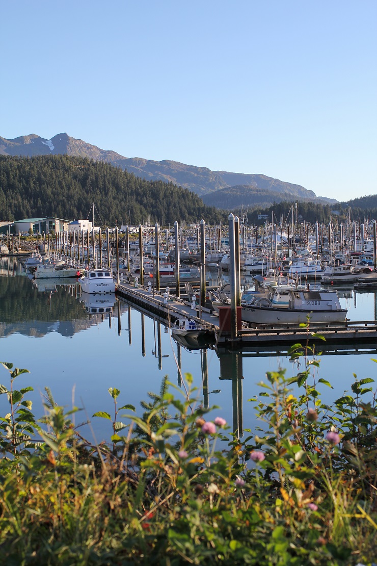 Cordova, Alaska | TheRoastedRoot.net #travel #copperriversalmon #knowyourfisherman #sustrainablesalmon 