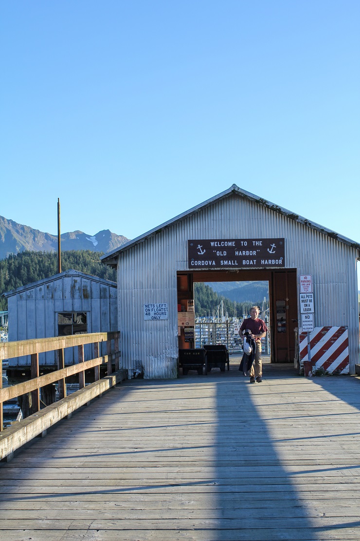 Cordova, Alaska | TheRoastedRoot.net #travel #copperriversalmon #knowyourfisherman #sustrainablesalmon 