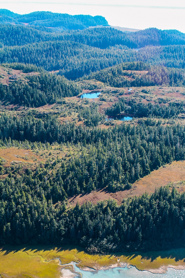 Cordova, Alaska #travel