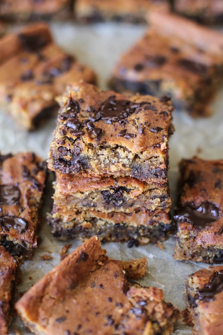 Peanut Butter Chocolate Chip Chickpea Bars - gluten-free, refined sugar-free, dairy-free, and packed with protein and fiber! | TheRoastedRoot.net #glutenfree #healthy #dessert #recipe