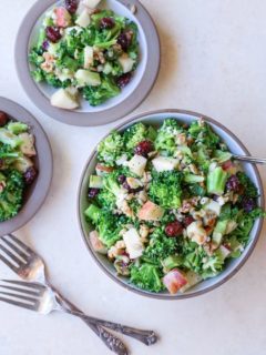 Mayo-Free Broccoli Salad with Lemon Poppy Seed Dressing | TheRoastedRoot.net #healthy #vegetarian #recipe