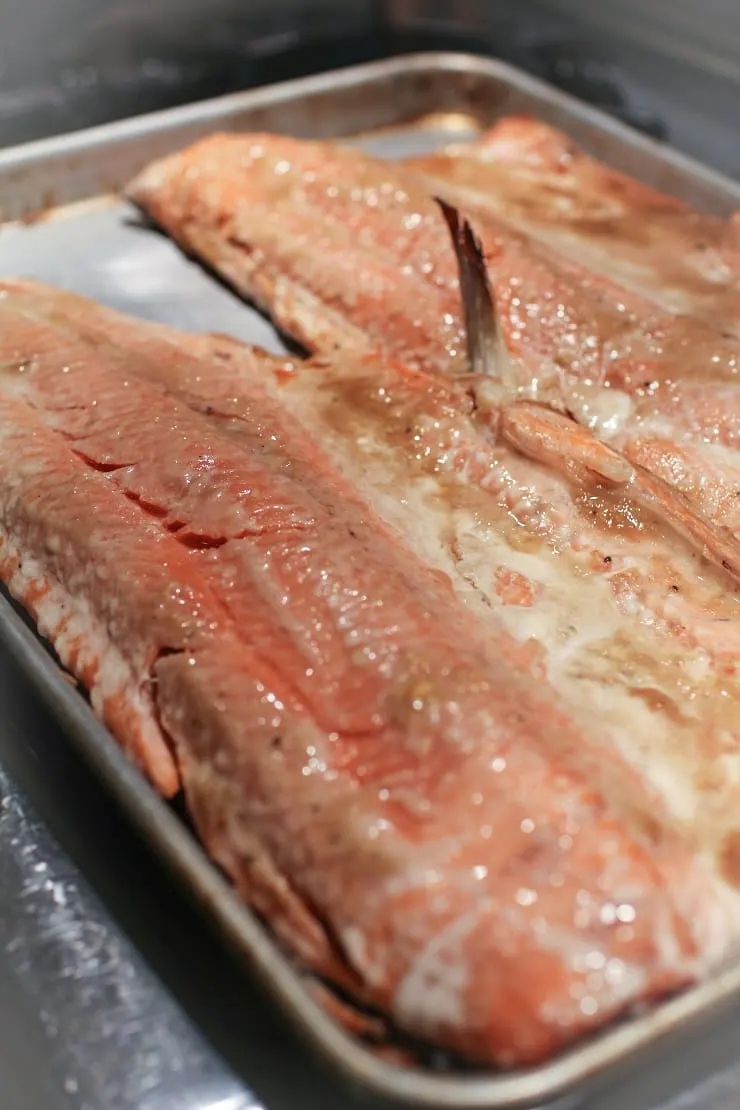 Miso Coho Salmon