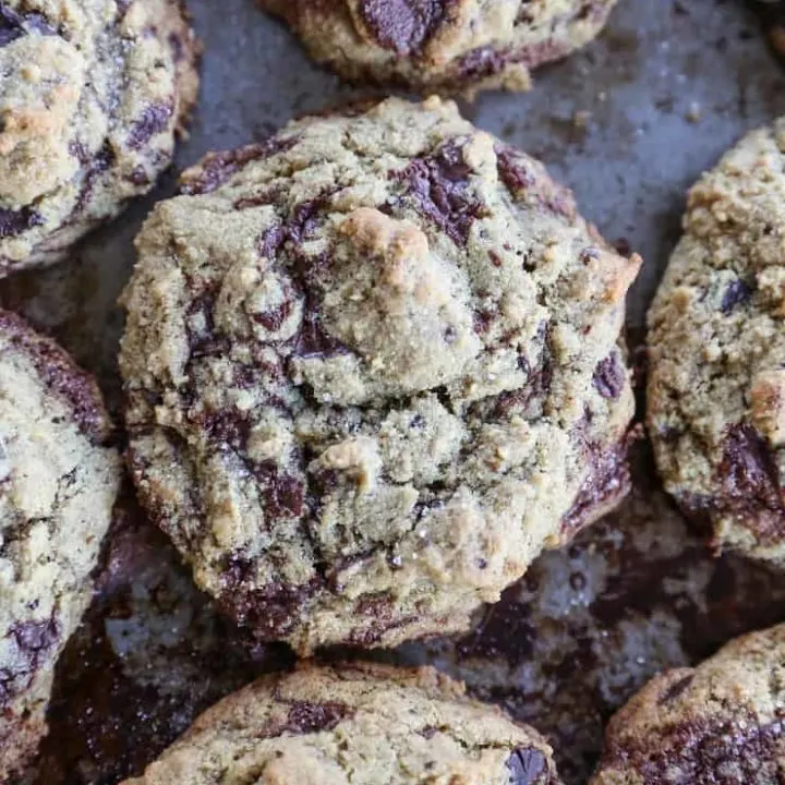 The BEST gooey Paleo Chocolate Chip Cookies! These grain-free cookies taste just like classic homemade chocolate chip cookies.