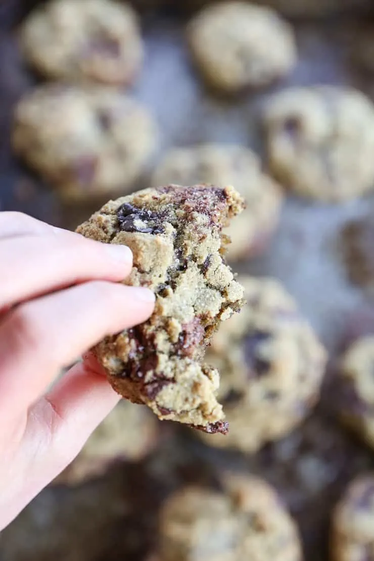 The BEST Paleo Chocolate Chip Cookies! Soft, chewy, gooey, perfectly sweet and delicious! You'd never know these are grain-free and naturally sweetened