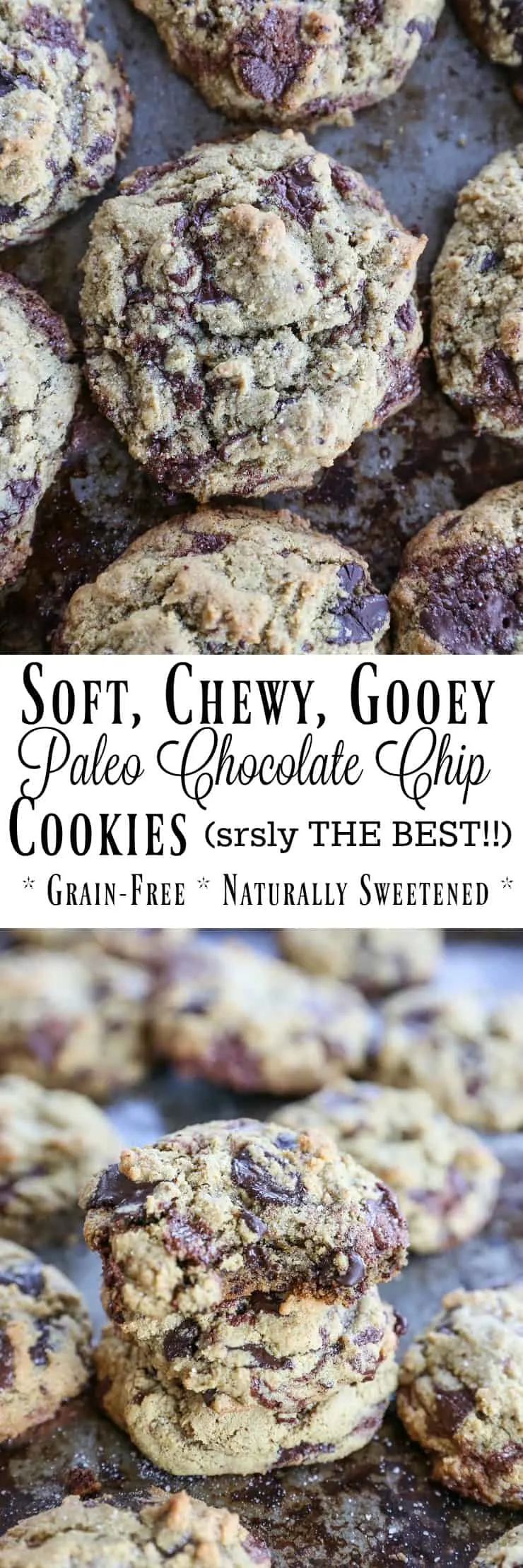 The BEST Paleo Chocolate Chip Cookies! Soft, chewy, gooey, perfectly sweet and delicious! You'd never know these are grain-free and naturally sweetened