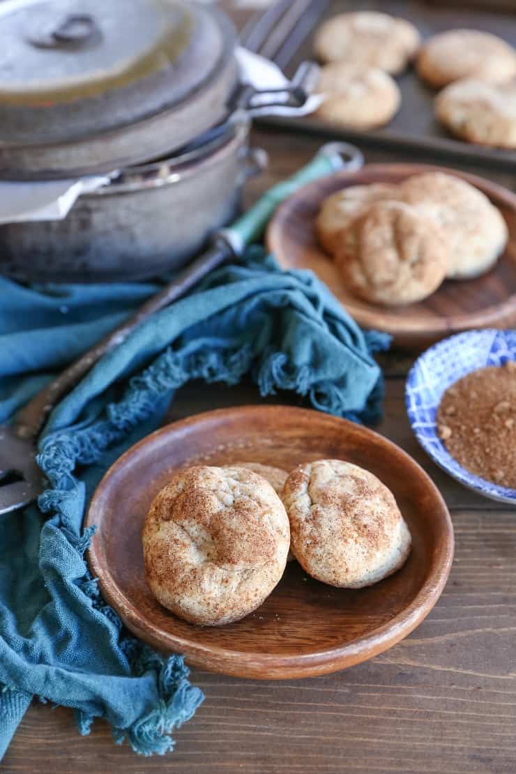 Vegan Snickerdoodles - 2 recipes for vegan snickerdoodles - a grain-free version, and a gluten-free version. Dairy-free, refined sugar-free, and healthy! 