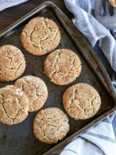 Vegan Snickerdoodles - 2 recipes for vegan snickerdoodles - a grain-free version, and a gluten-free version. Dairy-free, refined sugar-free, and healthy!