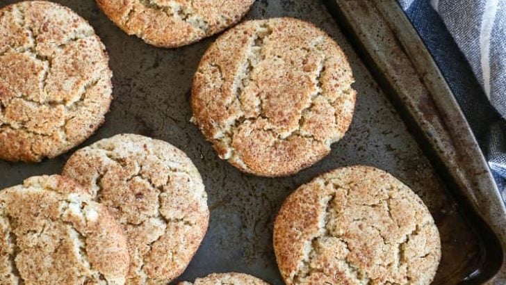 Vegan Snickerdoodles - 2 recipes for vegan snickerdoodles - a grain-free version, and a gluten-free version. Dairy-free, refined sugar-free, and healthy!