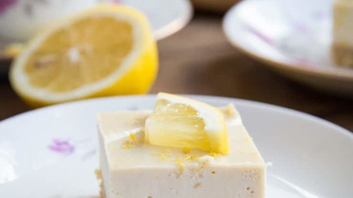 No Bake Paleo Lemon Bars - dairy-free, grain-free, refined sugar-free, and vegan