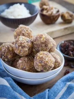 Oatmeal Cookie Energy Bites - vegan, paleo, plant-based, and healthy snack for travelling or busy work days
