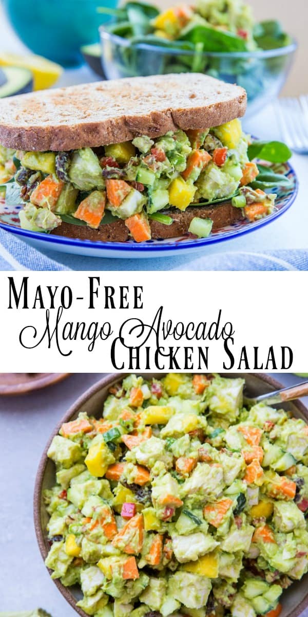 Mayo-Free Mango Avocado Chicken Salad - a healthier chicken salad recipe with carrots, cucumber, green onion, bell pepper, raisins, and pecans. Serve it up on toasted bread as a sandwich or on a green salad! | TheRoastedRoot.com #paleo #healthy #lunch