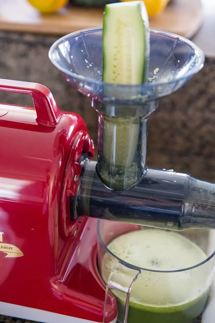 Champion Juicer 4000 Series juicing celery