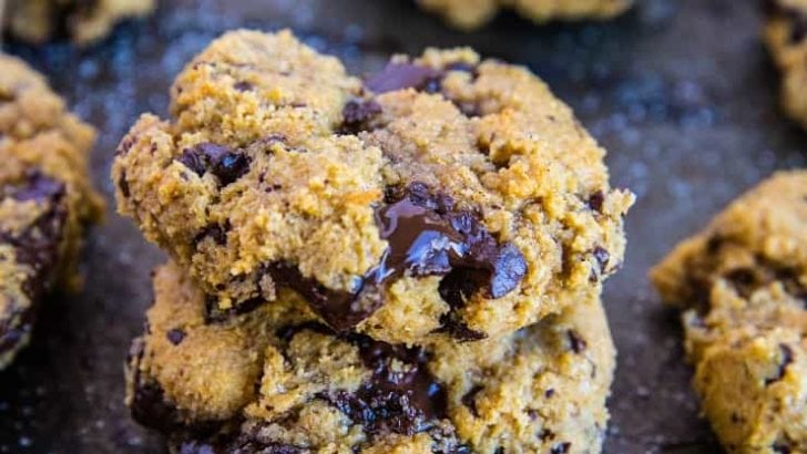 Paleo Pumpkin Chocolate Chip Cookies - grain-free, refined sugar-free, dairy-free and healthy | TheRoastedRoot.com