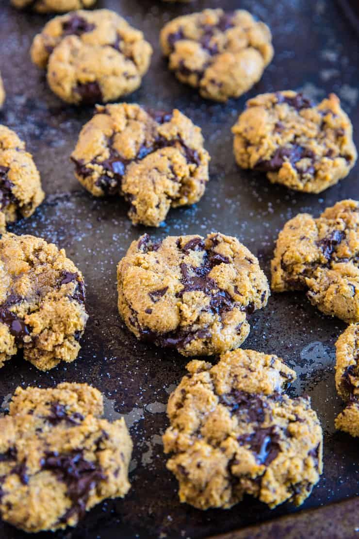 Paleo Pumpkin Chocolate Chip Cookies-kornfri, raffineret sukkerfri, mælkefri og sund | TheRoastedRoot.com