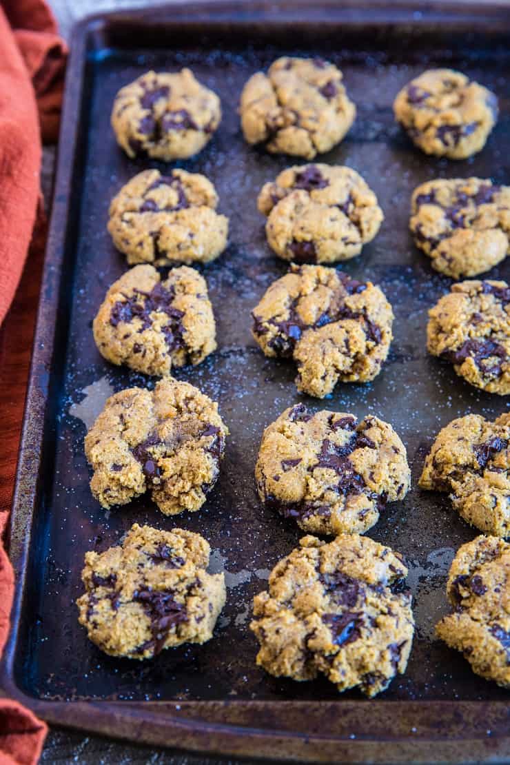 Biscuits aux pépites de chocolat à la citrouille Paléo - sans céréales, sans sucre raffiné, sans produits laitiers et sains | TheRoastedRoot.com