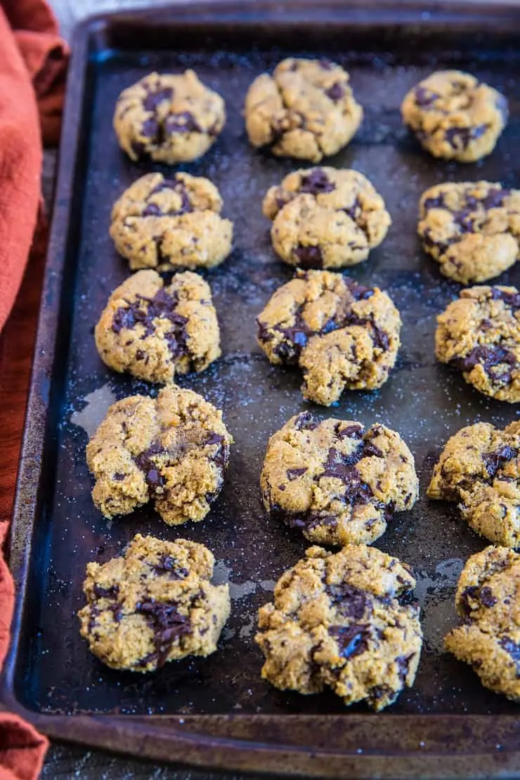 Paleo Pumpkin Chocolate Chip Cookies - grain-free, refined sugar-free, dairy-free and healthy | TheRoastedRoot.com