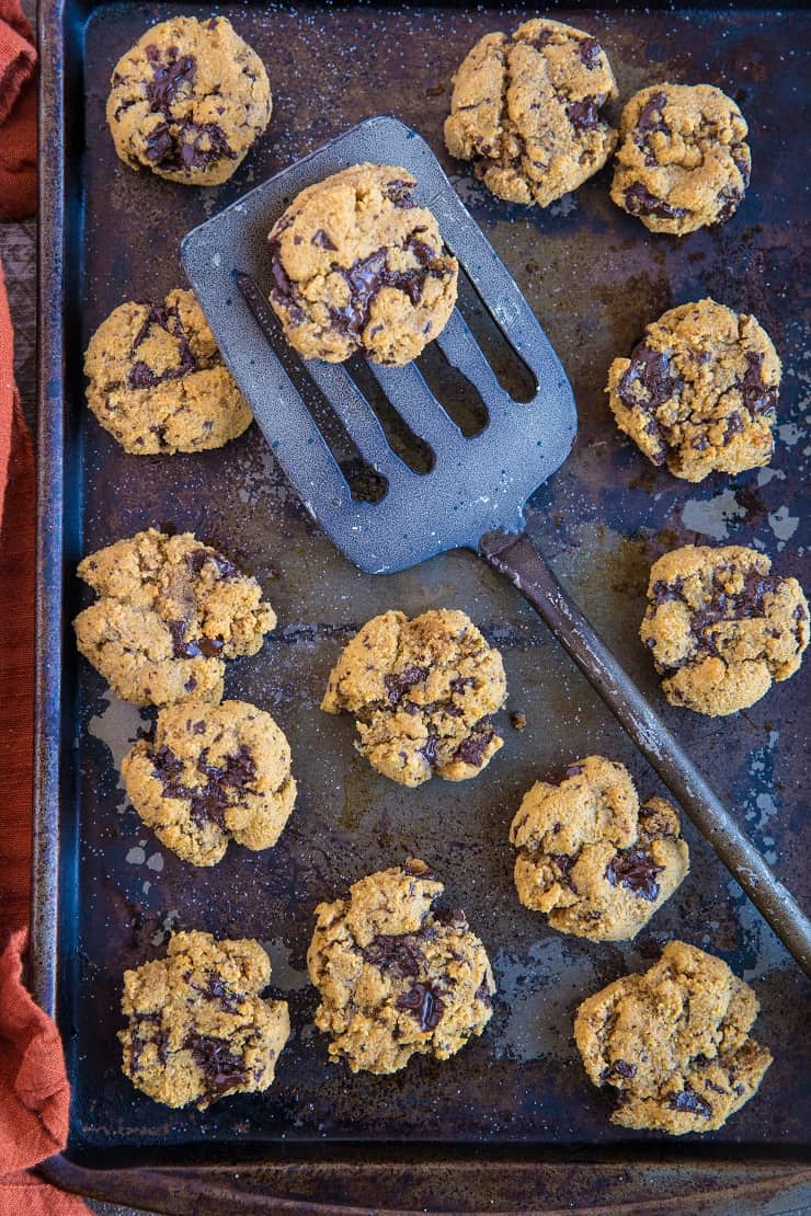 Biscotti al cioccolato con gocce di zucca Paleo-senza cereali, senza zucchero raffinato, senza latticini e sani | TheRoastedRoot.com