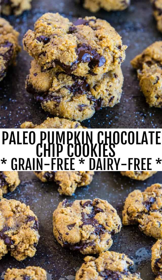 Paleo Pumpkin Chocolate Chip Cookies - grain-free, refined sugar-free, dairy-free and healthy | TheRoastedRoot.com