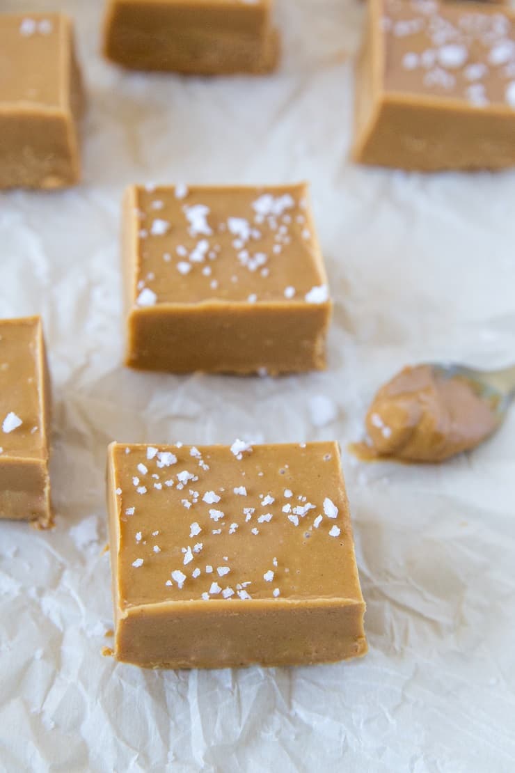 3-Ingredient Low-Carb Peanut Butter Fudge - a super simple fudge recipe with no added sugar for a healthier dessert | TheRoastedRoot.com