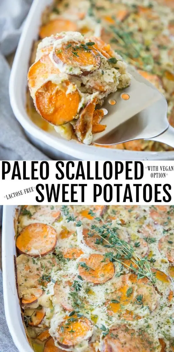 Paleo Scalloped Sweet Potatoes (w/ a vegan option) - lactose-free, fresh, and simple! An awesome holiday side dish | TheRoastedRoot.net #healthy #thanksgiving #recipe