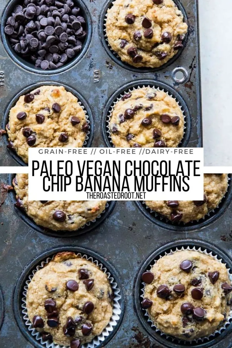 Paleo Vegan Banana Muffins with chocolate chips - grain-free, oil-free, refined sugar-free, healthy muffin recipe