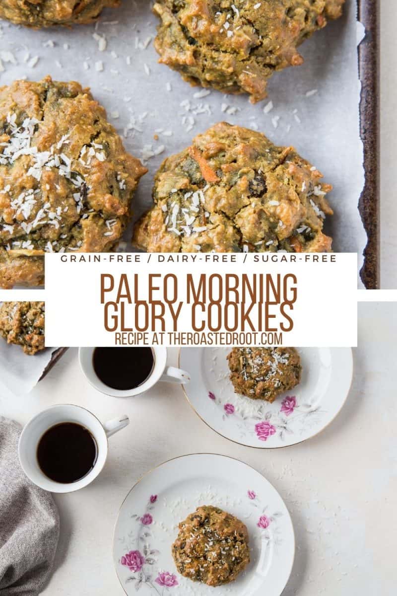 Paleo Morning Glory Cookies with carrot, apple, almond flour, almond butter, shredded coconut, and more! A healthy treat perfect for breakfast, snack, or dessert!