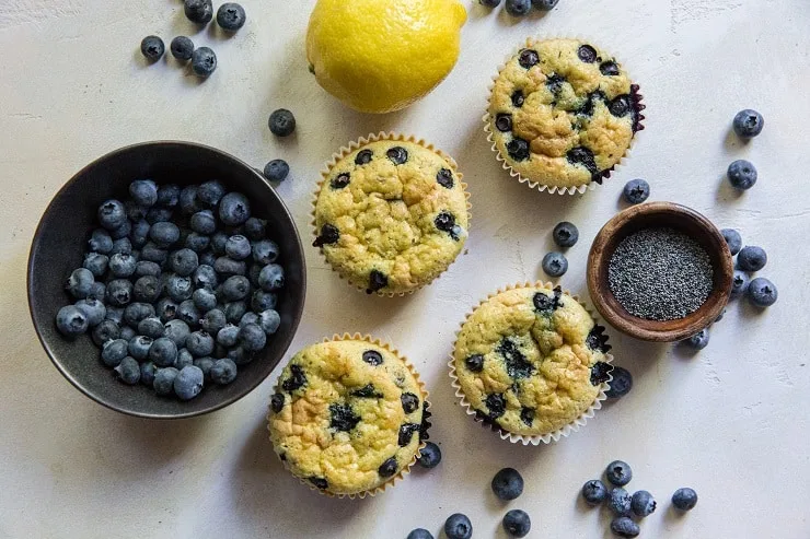 Lemon Poppy Seed Blueberry Coconut Flour Muffins - grain-free muffins made with coconut flour | TheRoastedRoot.net