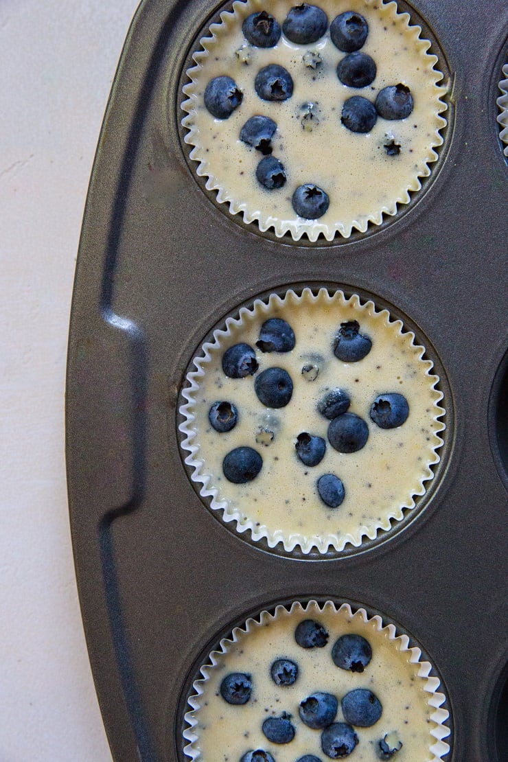 Coconut Flour Blueberry Muffins