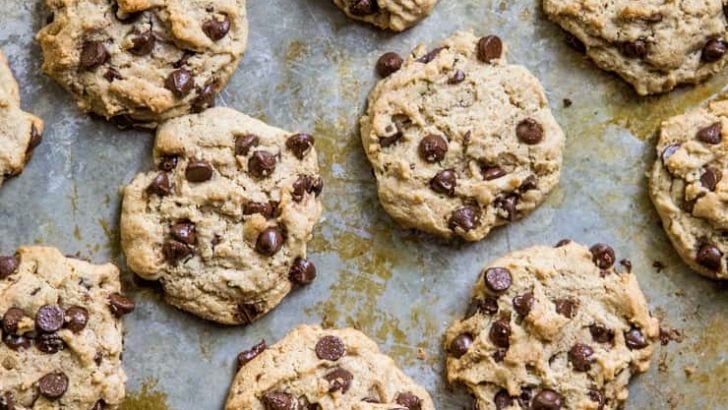 Paleo Vegan Chocolate Chip Cookies made with almond flour and flax seed - refined sugar-free, dairy-free, egg-free healthy chocolate chip cookies