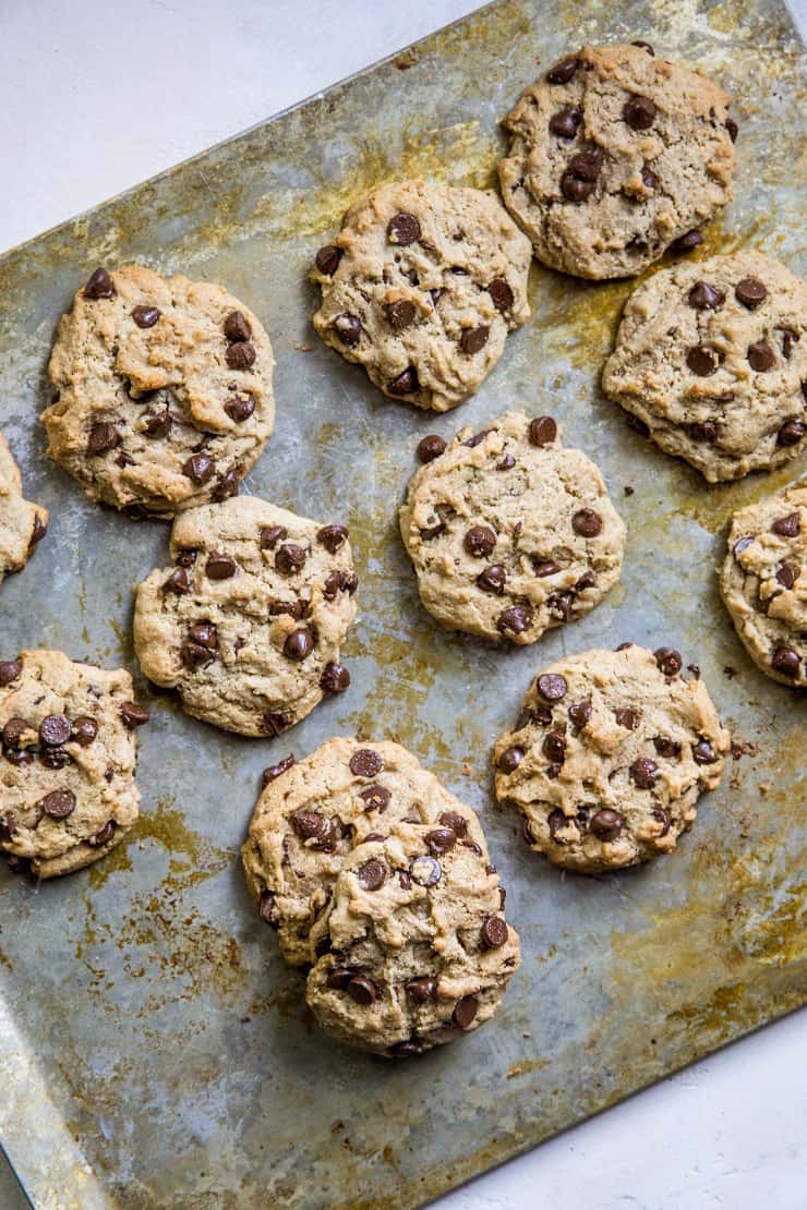 Paleo Vegan Chocolate Chip Cookies made with almond flour and flax seed - refined sugar-free, dairy-free, egg-free healthy chocolate chip cookies