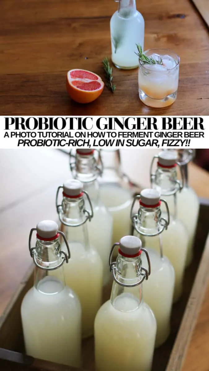 Naturally Fermented Probiotic Ginger Beer using native yeast (naturally occurring yeast) - delicious refreshing low-sugar low-calorie probiotic rich drink! 