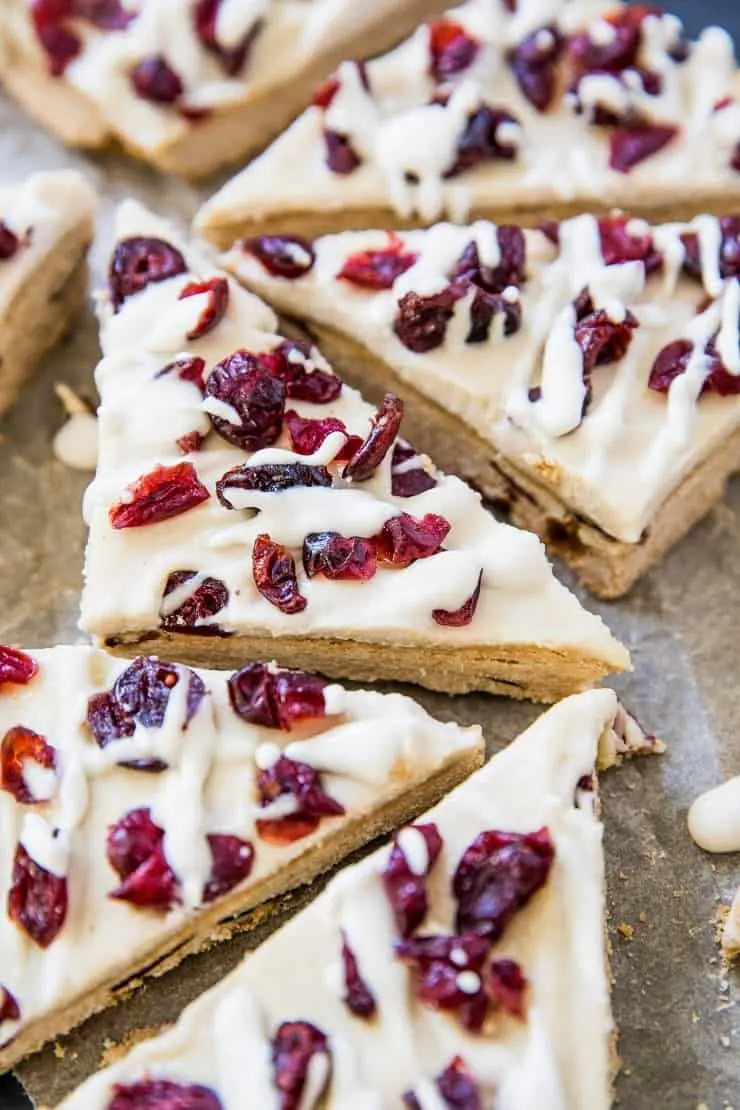 Healthy Cranberry Bliss Bars - paleo, vegan, grain-free, refined sugar-free, dairy-free and delicious