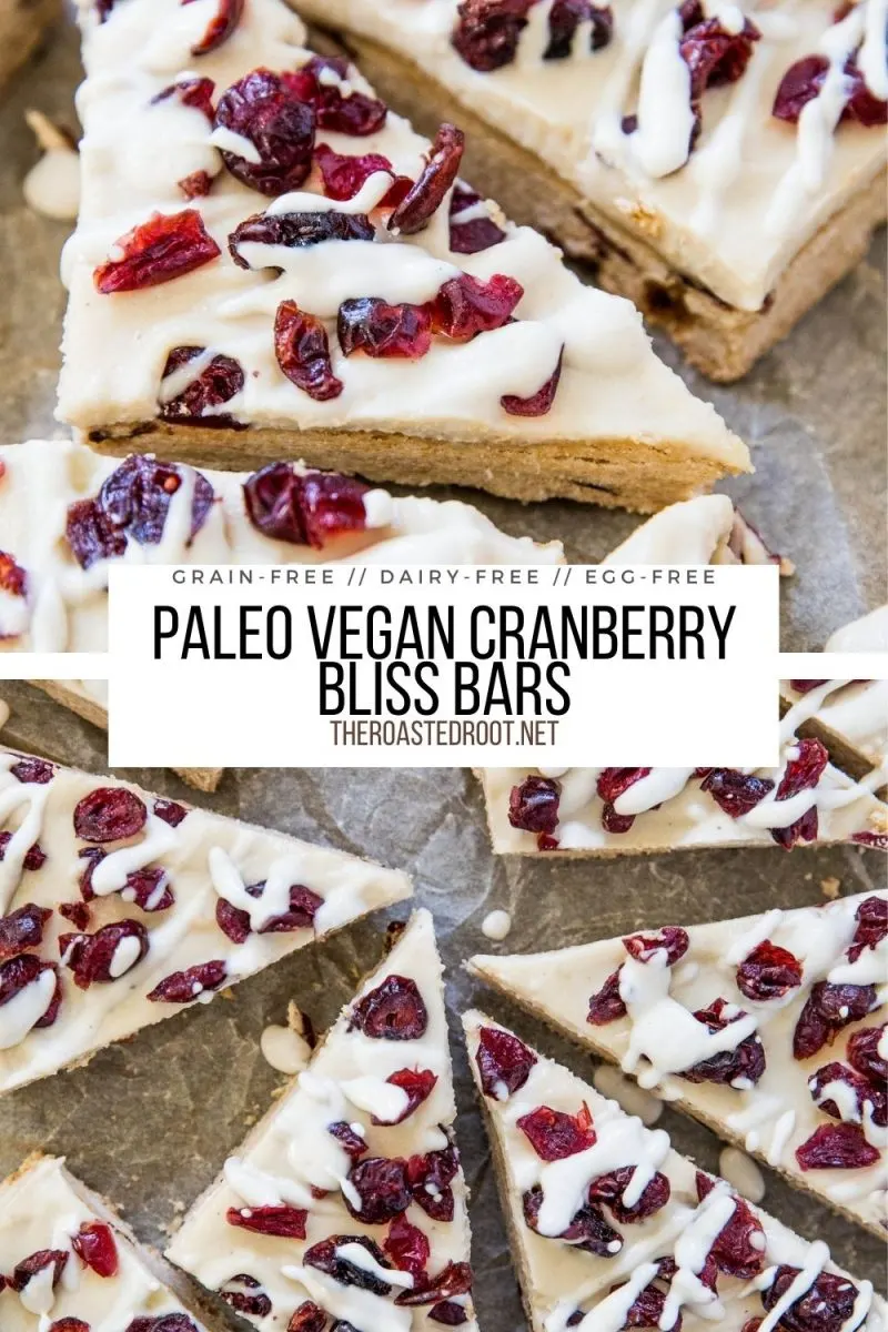 Vegan Paleo Cranberry Bliss Bars - egg-free, dairy-free, refined sugar-free and grain-free. Recipe includes a Keto option