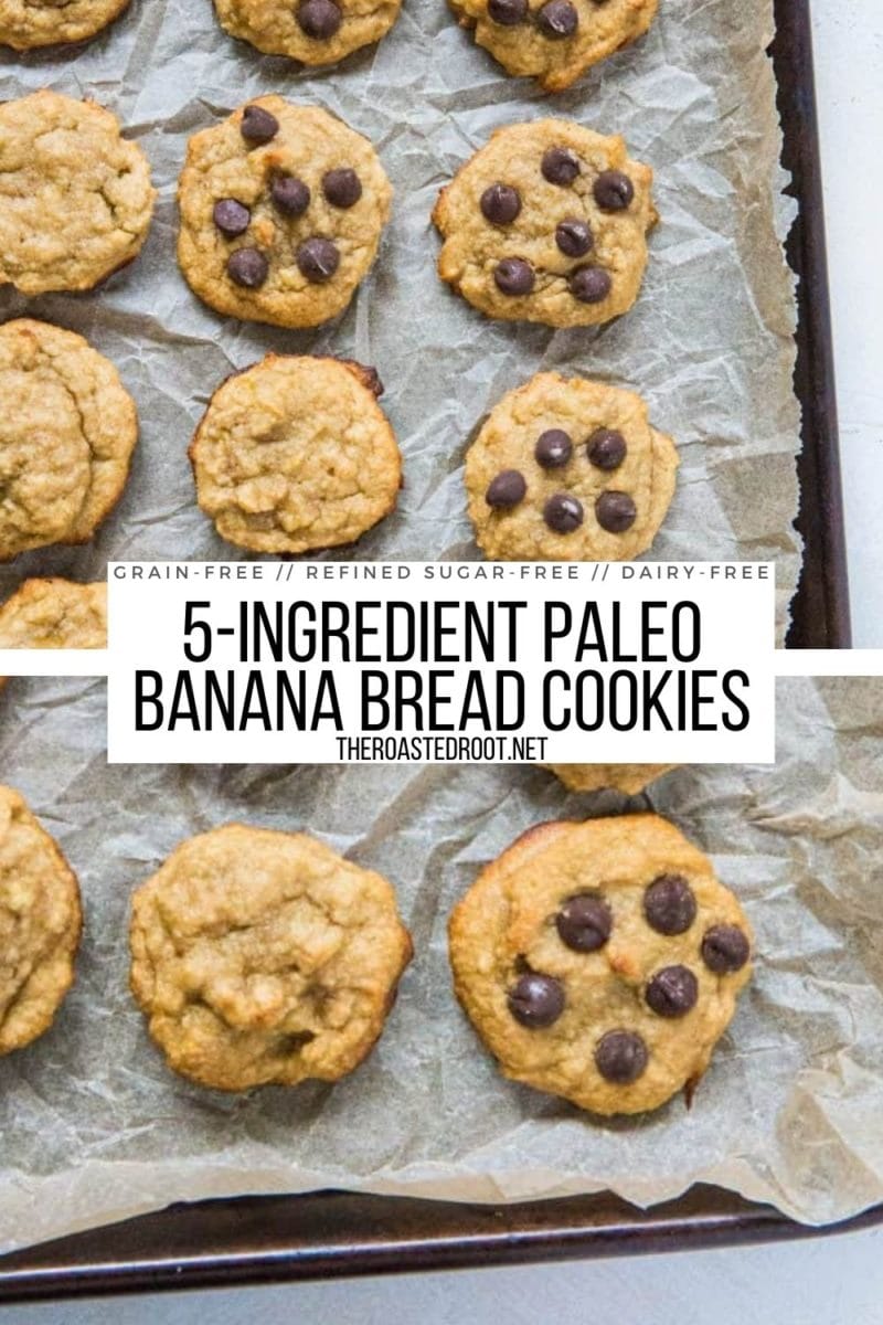 5-Ingredient Paleo Banana Bread Cookies - easy, healthy dessert recipe that is grain-free, refined sugar-free, dairy-free and delicious!