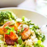 Seared Scallops with Chimichurri Sauce - everything you need to know about cooking perfect seared scallops