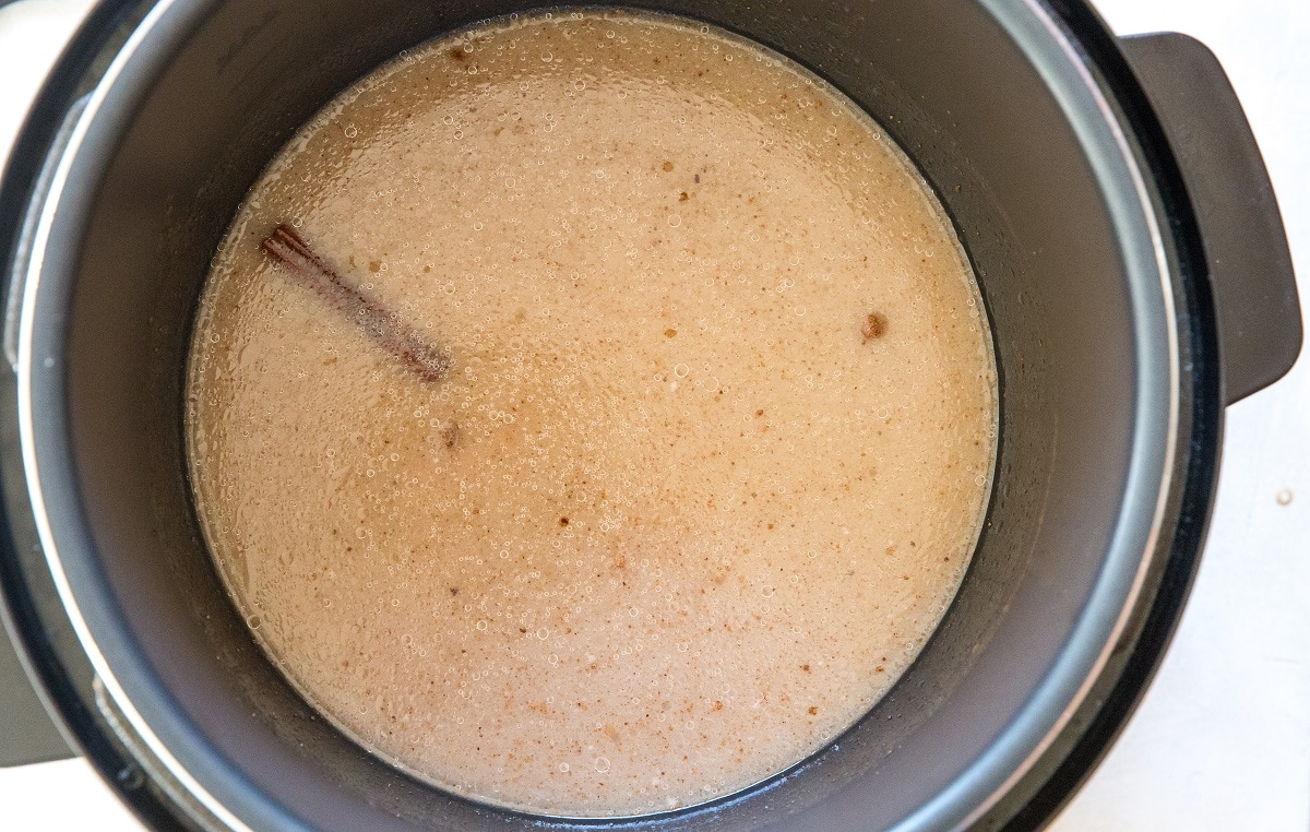 Instant Pot Rice Pudding (Dairy-Free) - The Roasted Root