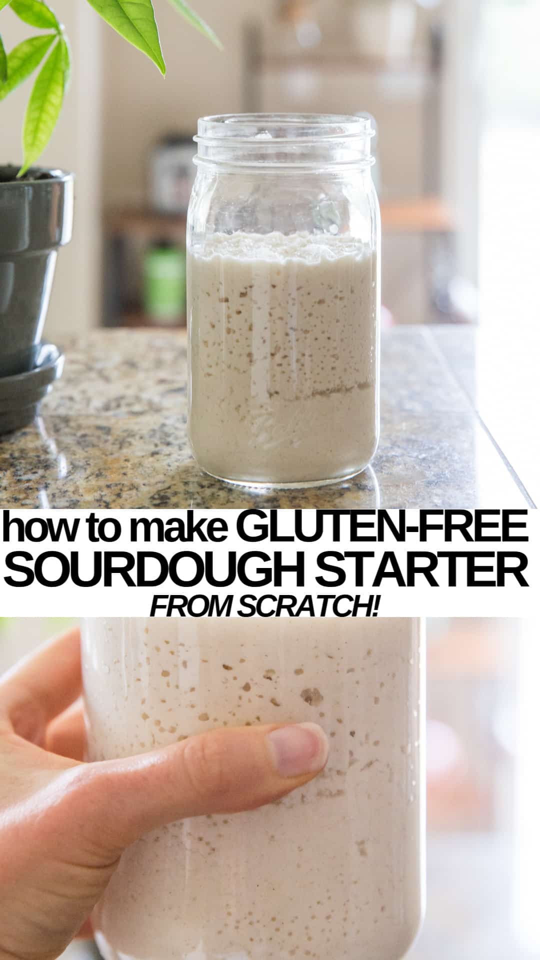 gluten-free-sourdough-starter-the-roasted-root