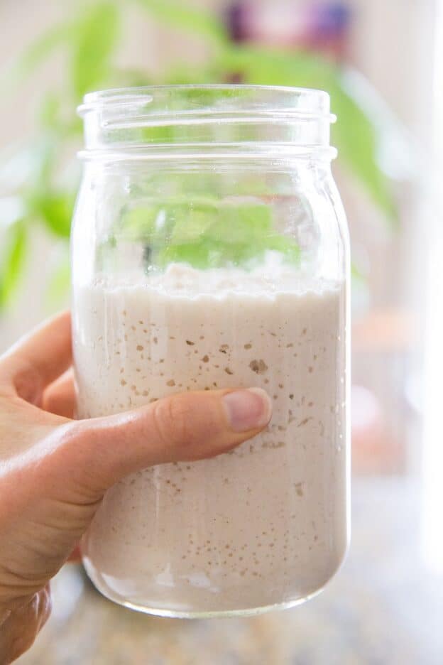 Gluten-Free Sourdough Starter - The Roasted Root