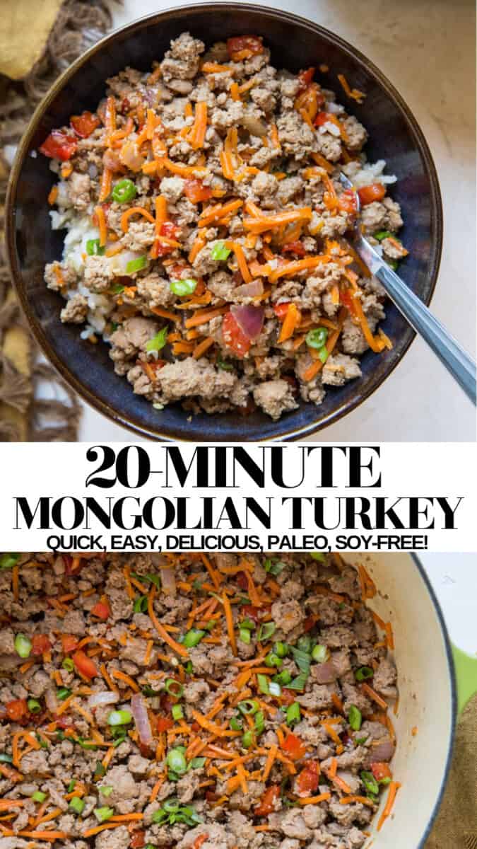 20-Minute Mongolian Turkey - a quick and healthy dinner recipe requiring only a few ingredients