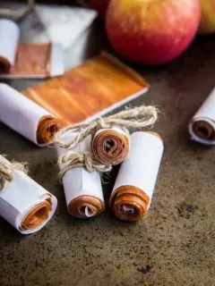 Apple Fruit Leather - a healthy snack or treat using fresh apples. Fun for kids school lunches or afterschool snack