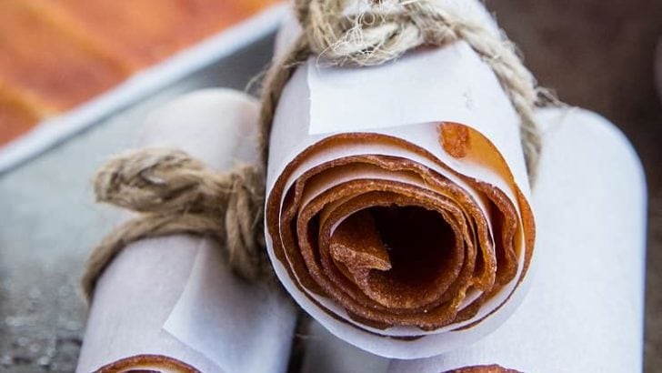 Apple Fruit Leather -make homemade healthy fruit leather using fresh apples! This easy recipe only requires a few ingredients and is a fun project for kids. A healthy snack or treat!