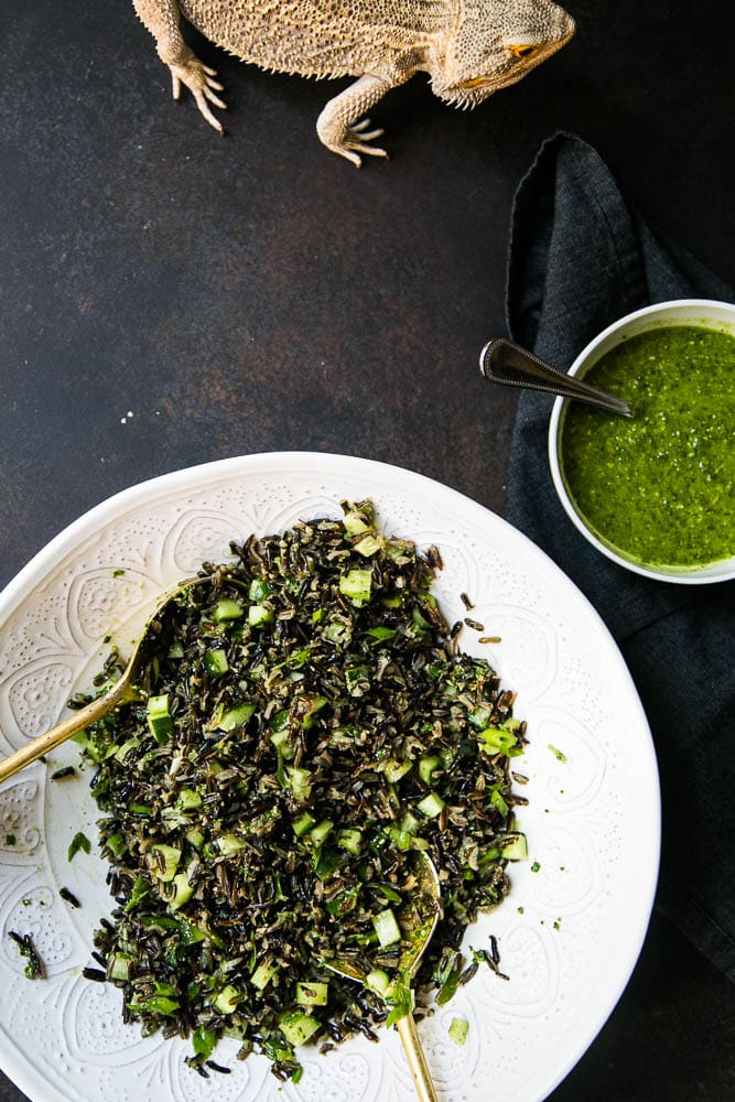 Wild Rice and Cucumber Salad with Pesto